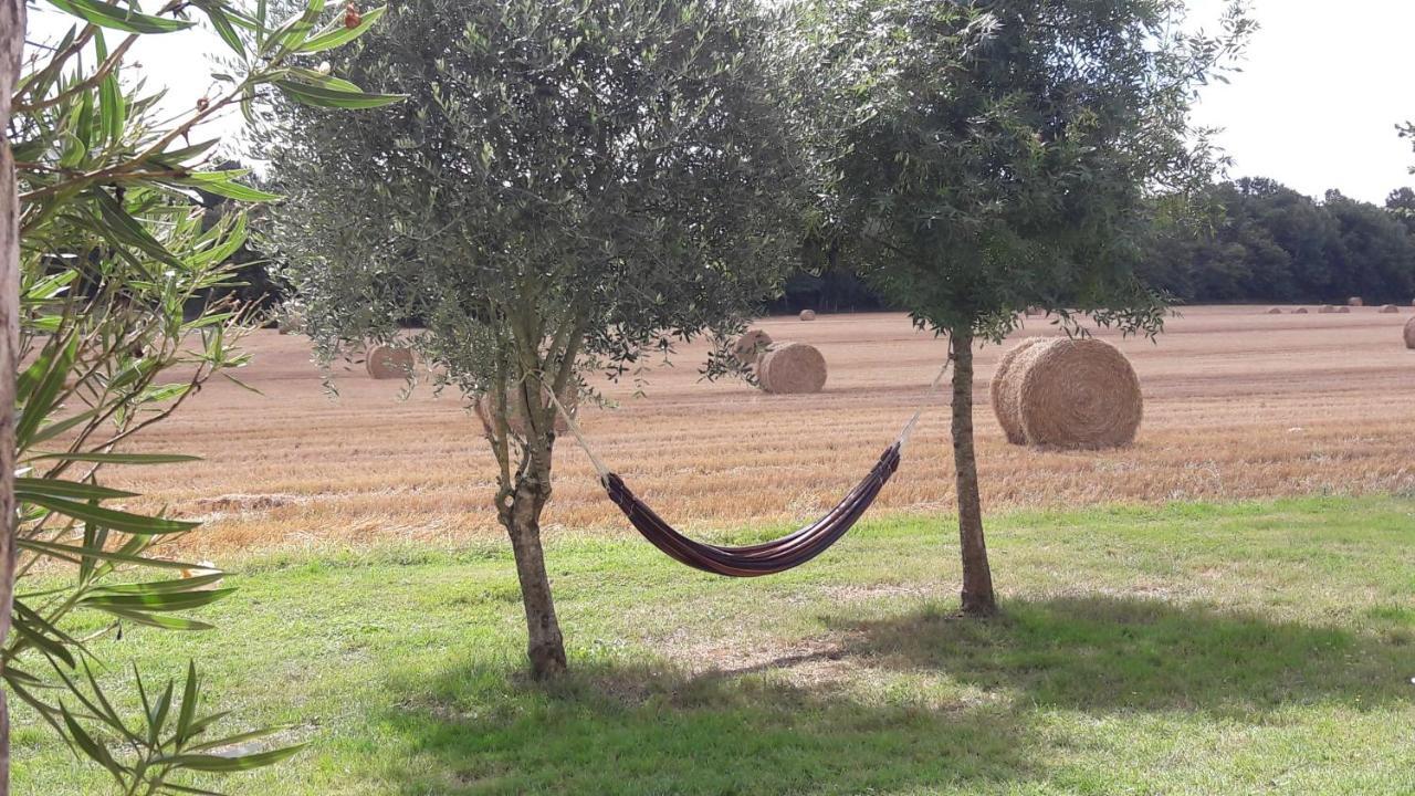 Avy Gite Du Chateau De Pernan מראה חיצוני תמונה